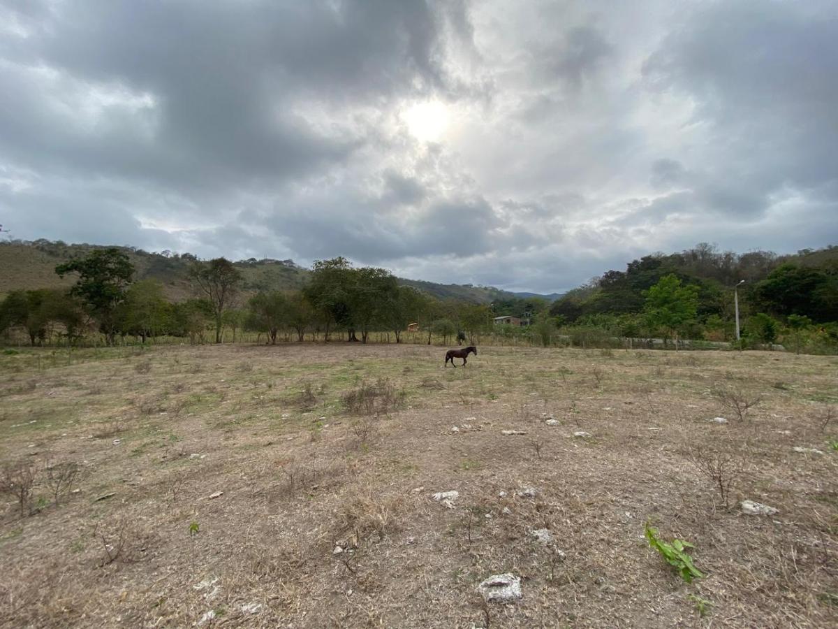 Venta de Terrenos 6 Has en Sector La Cabuya Via Jama Pedernales, Manabí — imagen 2