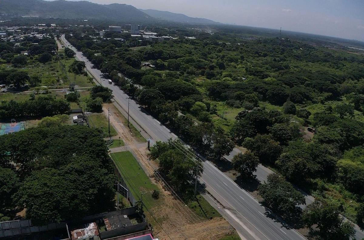 Vendo Terreno 5.5 Ha Km 20 Vía a La Costa - Leo Villegas, Guayas — imagen 7