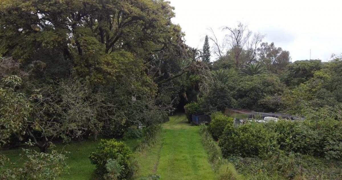 Se Vende Hacienda Guayllabamba, 17 Has 170.000 m² Varias Casas — imagen 9
