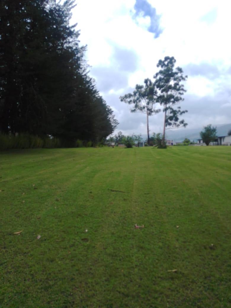 Se Vende Hacienda Guayllabamba, 17 Has 170.000 m² Varias Casas — imagen 6