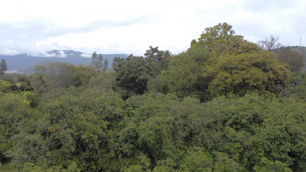 Se Vende Hacienda Guayllabamba, 17 Has 170.000 m² Varias Casas — imagen 2