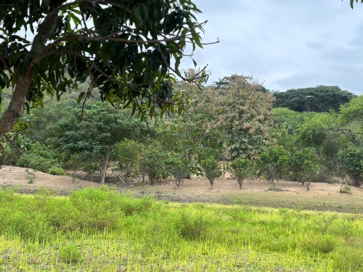 Vendo Propiedad en Vía a La Costa, Consuelo, Al Pie de La Via, Guayas — imagen 7