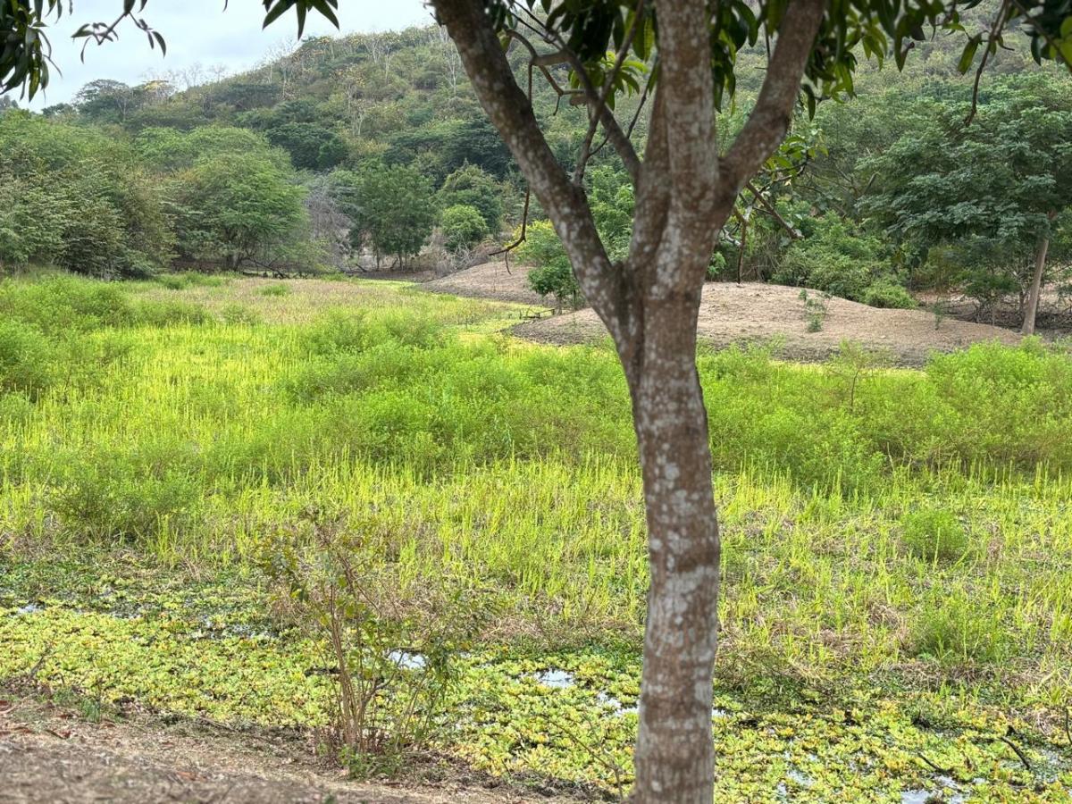 Vendo Propiedad en Vía a La Costa, Consuelo, Al Pie de La Via, Guayas — imagen 6