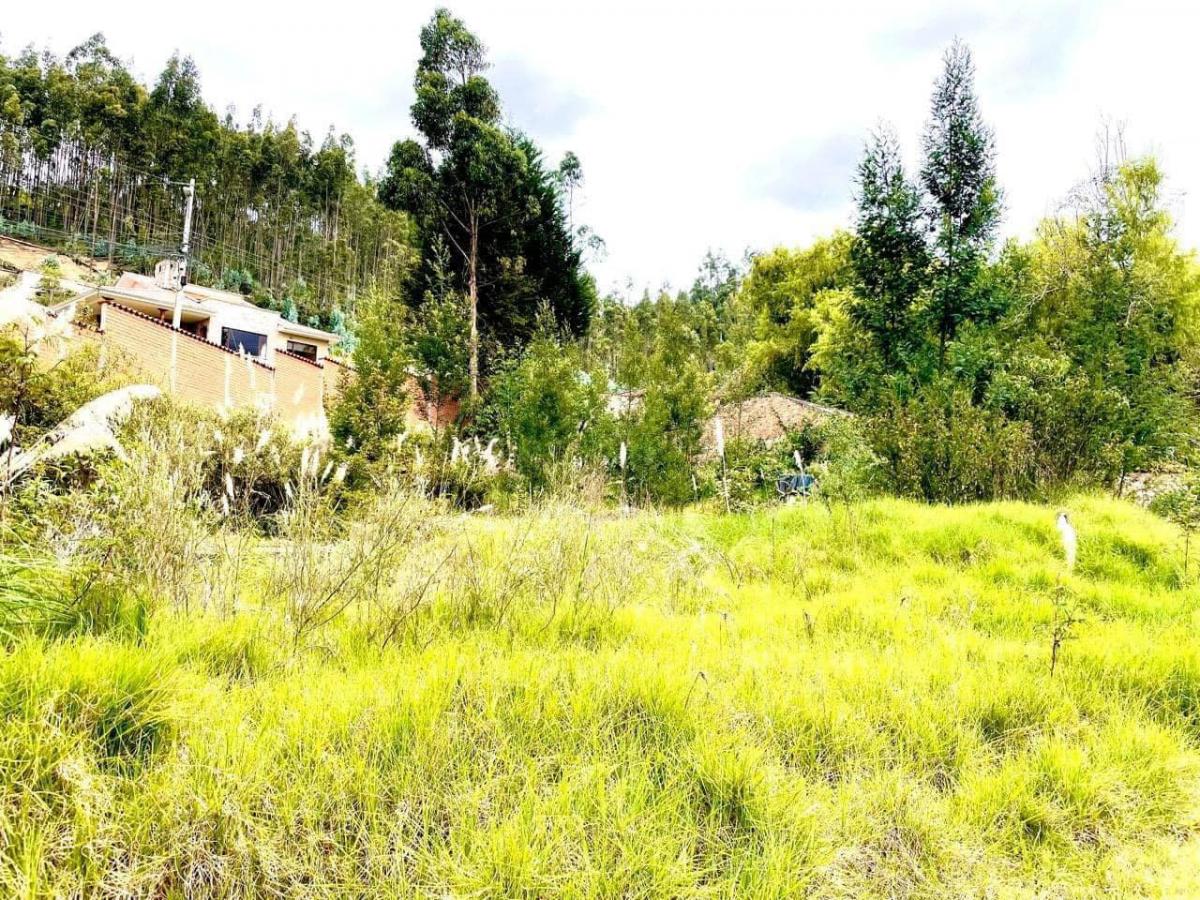 Terreno en Venta Exclusivo Sector: San Joaquin, Azuay — imagen 7