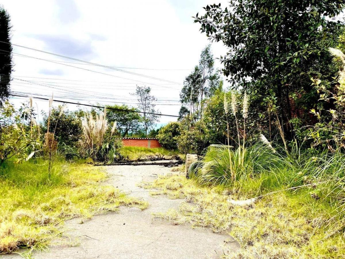Terreno en Venta Exclusivo Sector: San Joaquin, Azuay — imagen 6