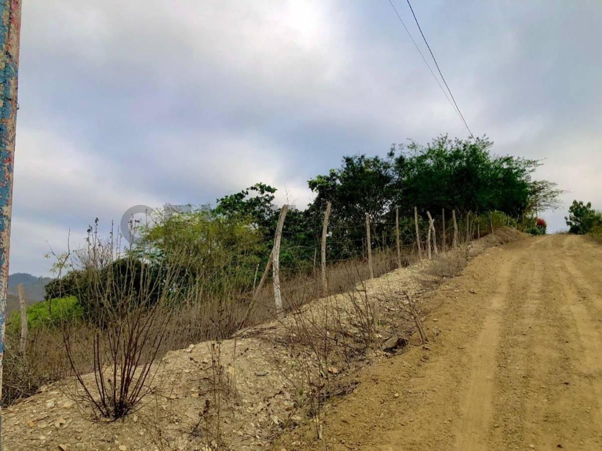 Venta de Lotes con Vista Al Mar en Puerto Lopez, Manabí — imagen 3