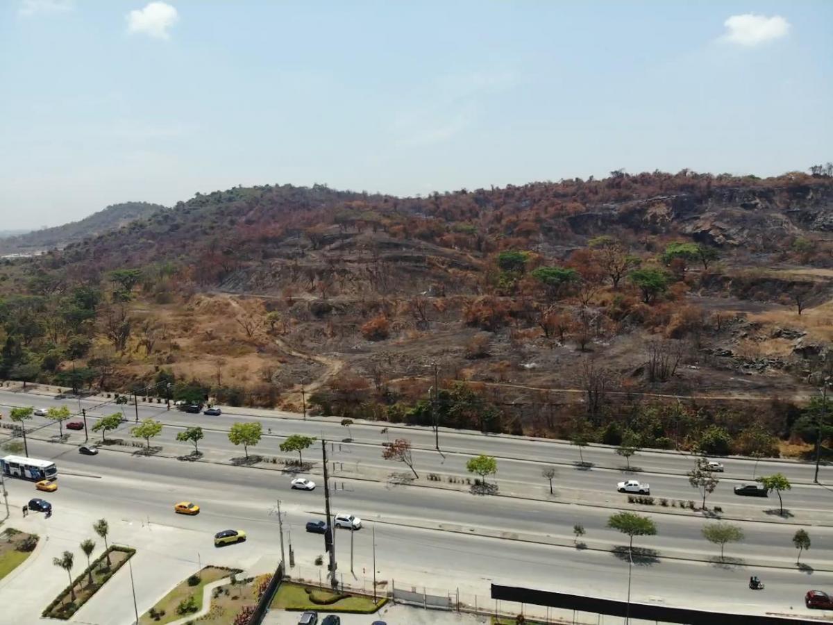 Terreno en Venta 25 Hectáreas – Av Narcisa de Jesús, Guayas — imagen 8