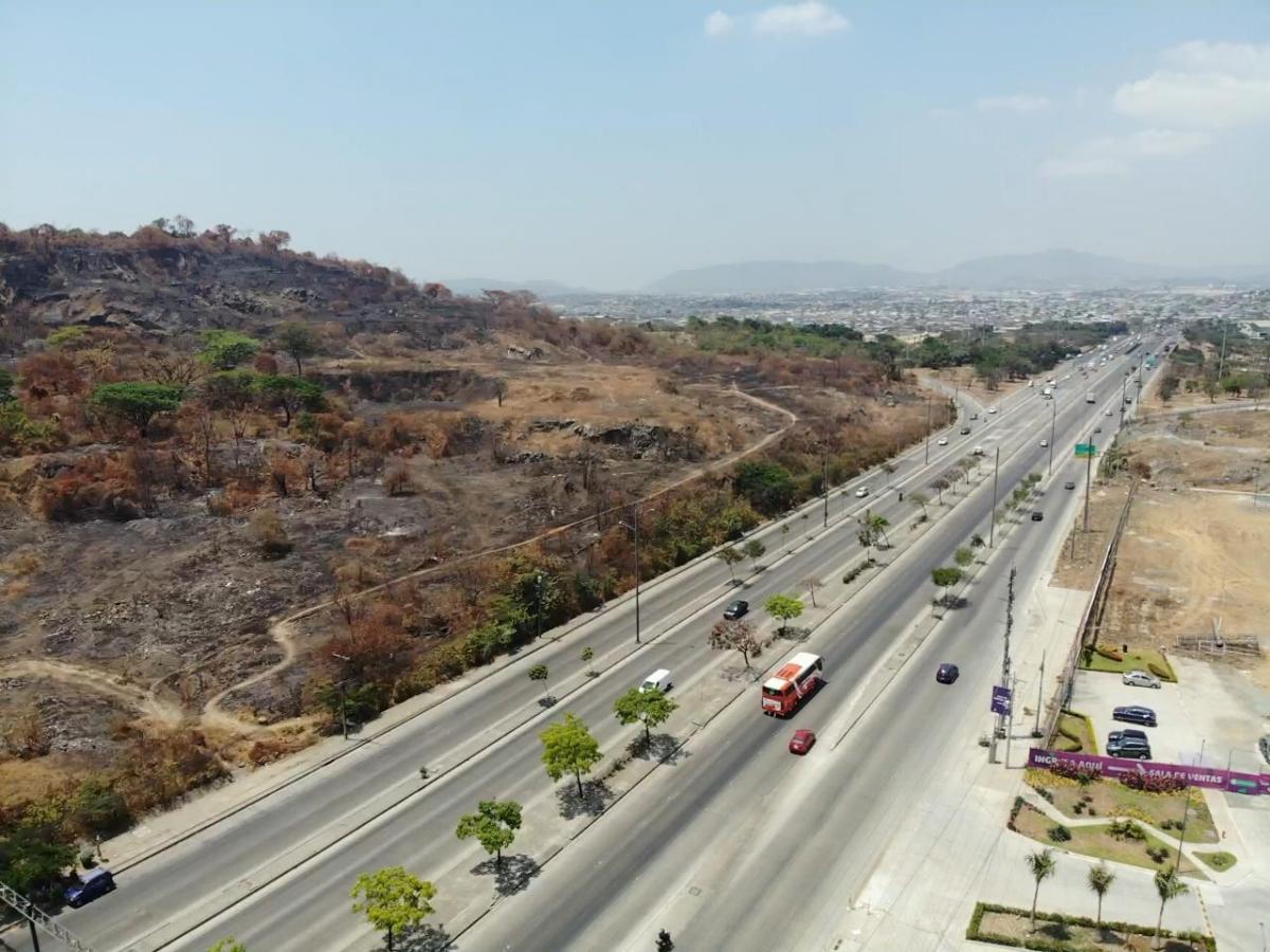 Terreno en Venta 25 Hectáreas – Av Narcisa de Jesús, Guayas — imagen 7