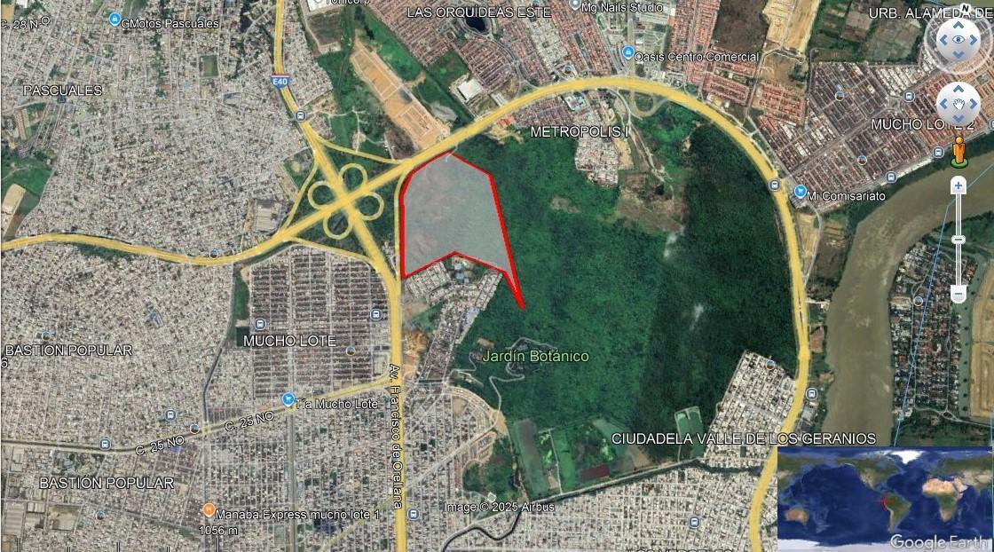 Terreno en Venta 25 Hectáreas – Av Narcisa de Jesús, Guayas — imagen 6