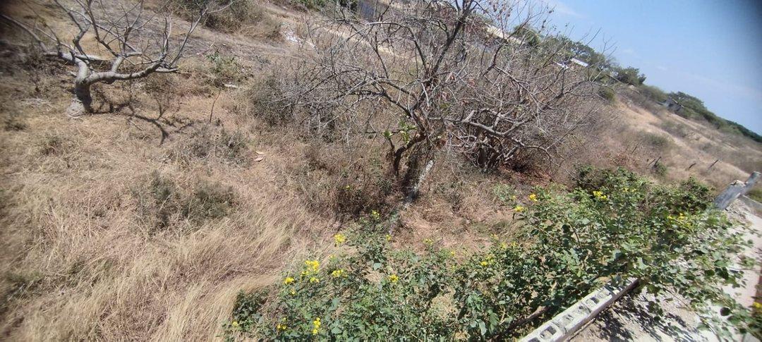 Terreno en Las Gaviotas, Playas Villamil R. Hurtado, Guayas — imagen 6