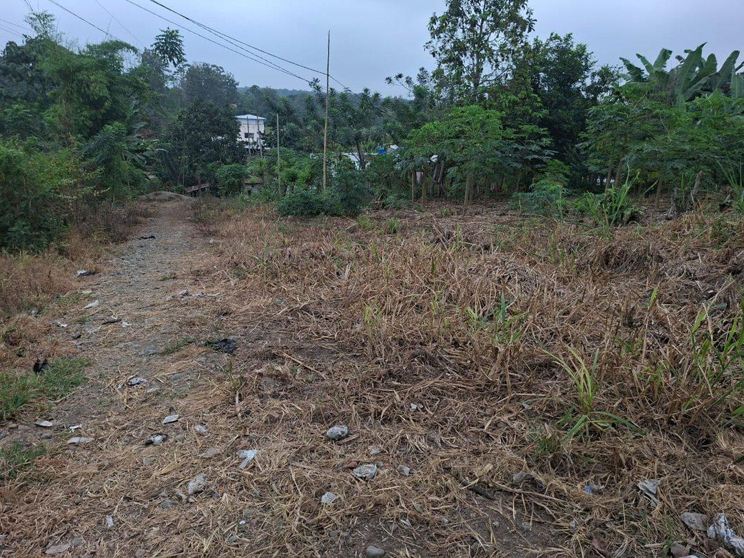 Terreno en Venta de 320 m² Las Tolas, Quevedo, Los Ríos — imagen 2