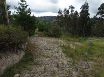 Terreno en Venta – Sector El Calvario, Déleg — imagen 3