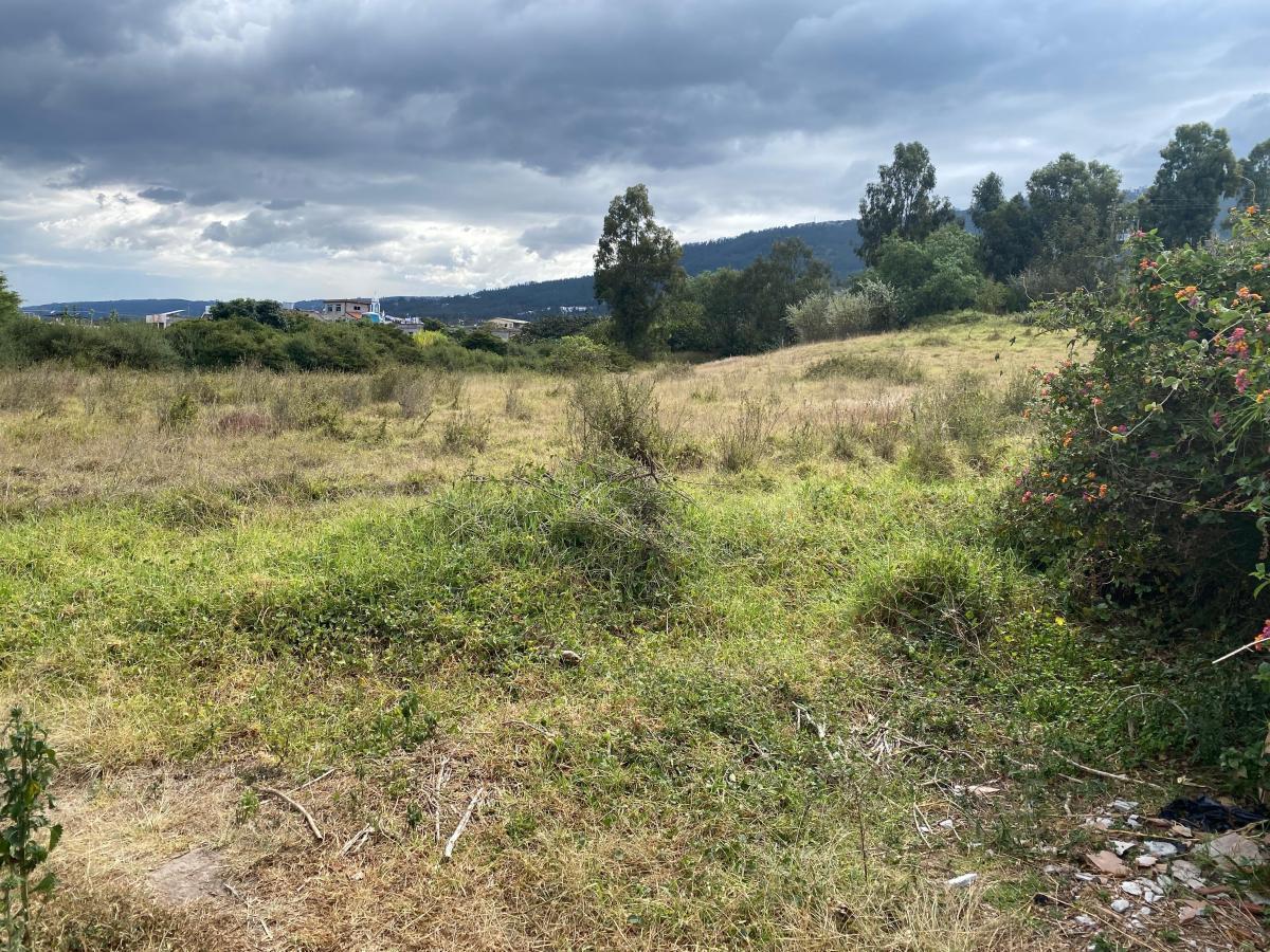 Vendo, lumbisí,¡Terreno con Excelente Ubicación Para Desarrollo Inmobiliario! — imagen 6