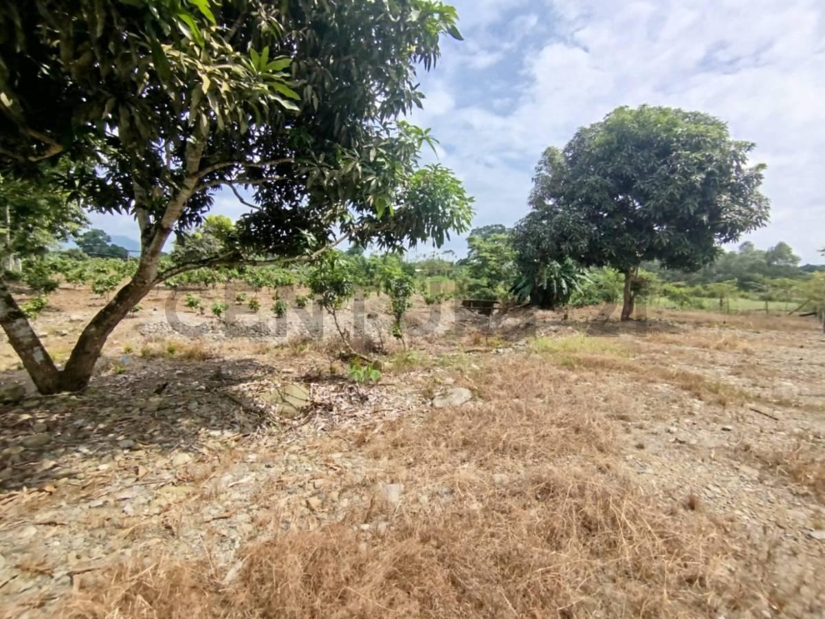 En Venta Terreno en La Mana, Cotopaxi — imagen 7