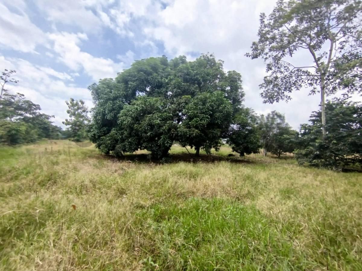 En Venta Terreno en La Mana, Cotopaxi — imagen 5