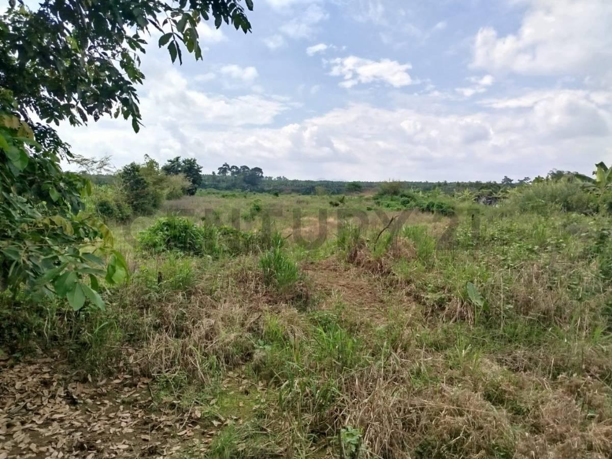 En Venta Terreno en La Mana, Cotopaxi — imagen 4