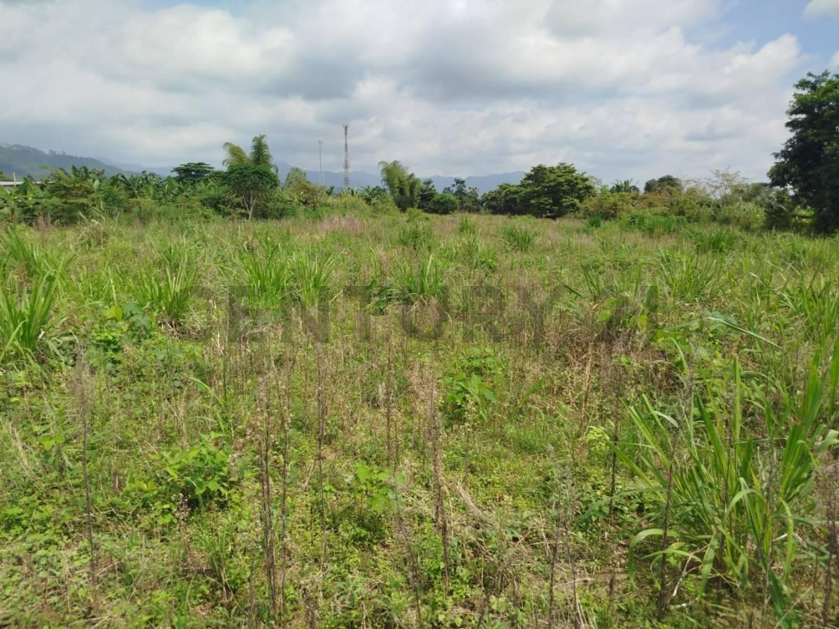 En Venta Terreno en La Mana, Cotopaxi — imagen 3