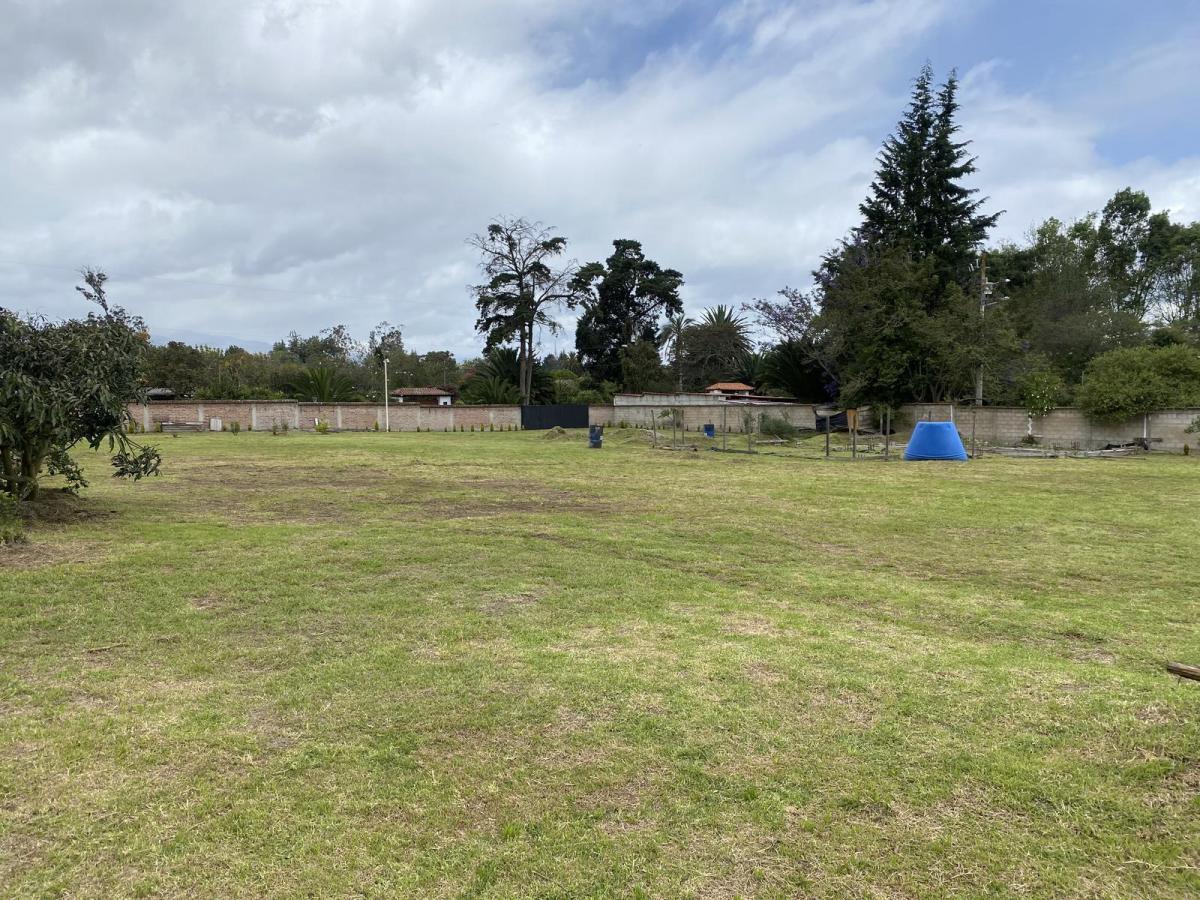 Espectacular Terreno Totalmente Plano Sector Polo Club. Amplia Plusvalía, Lindo Terreno — imagen 7