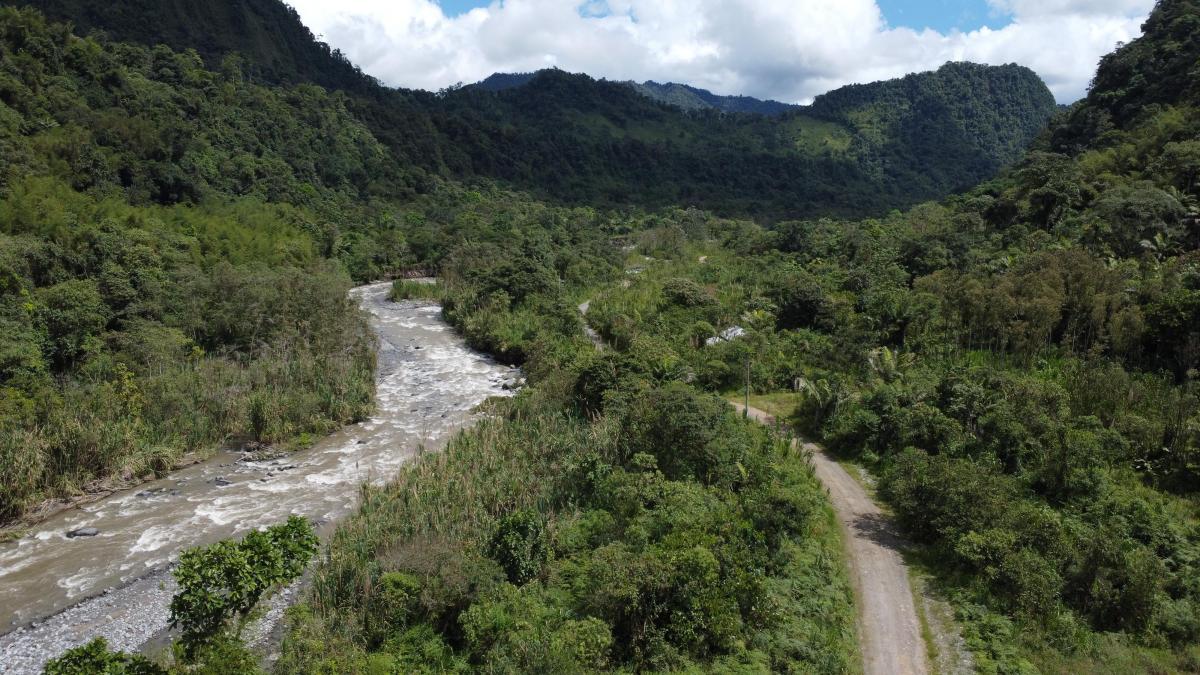 Terreno de Venta en Mindo de 1000 m² — imagen 2