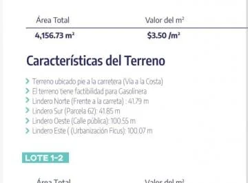 En Venta Terrenos en Vía Costa de 4.110 m - Mae. Recalde, Guayas — imagen 5