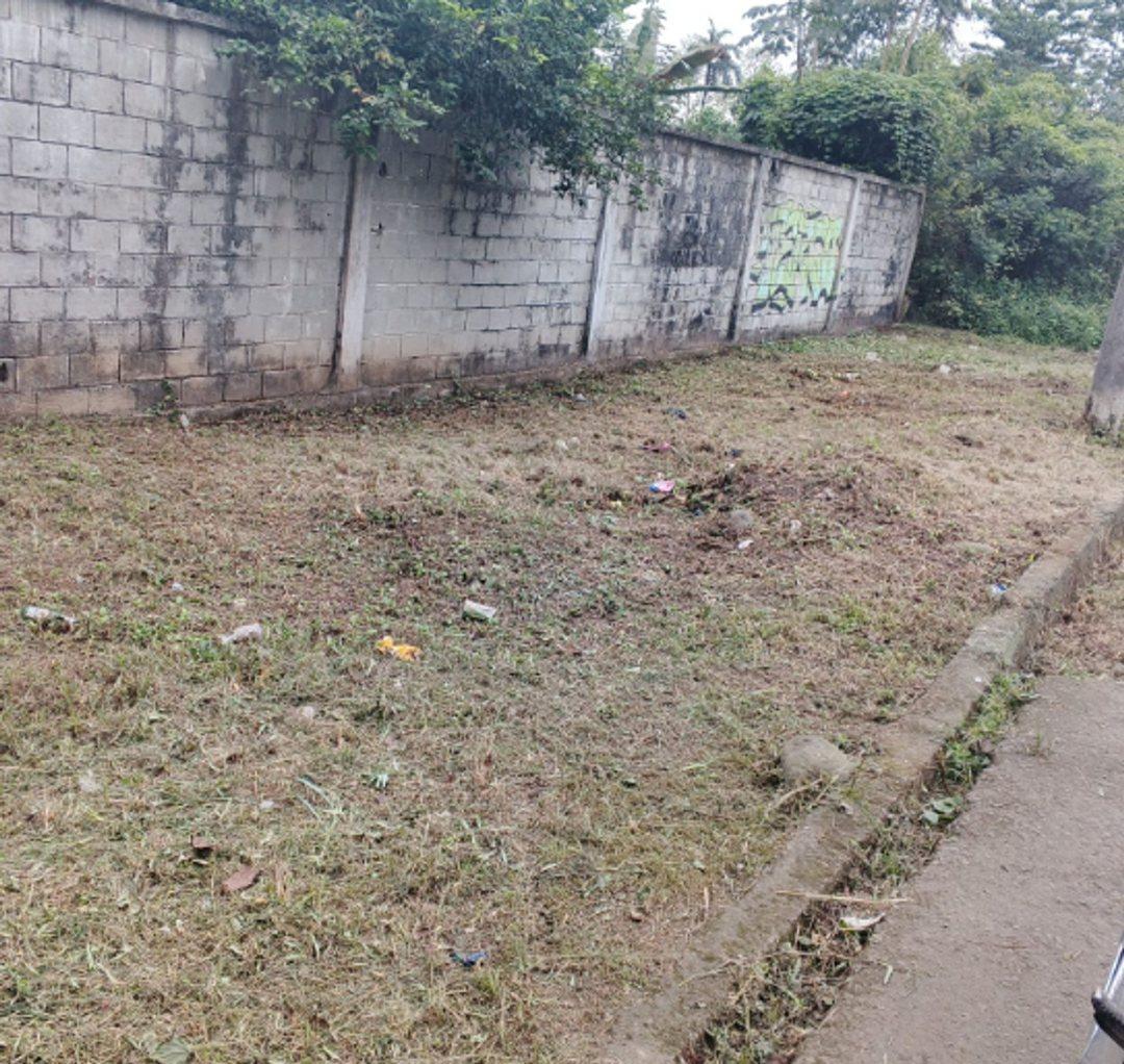 Se Vende Amplio Terreno en Montalvo Los Rios D. Aguiar, Los Ríos — imagen 6