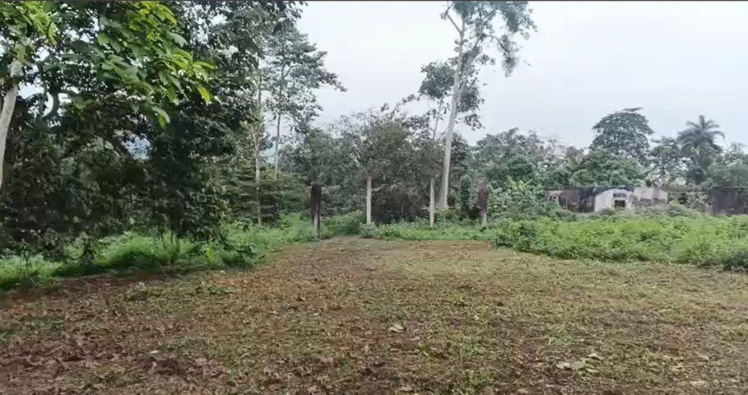 Se Vende Amplio Terreno en Montalvo Los Rios D. Aguiar, Los Ríos — imagen 3