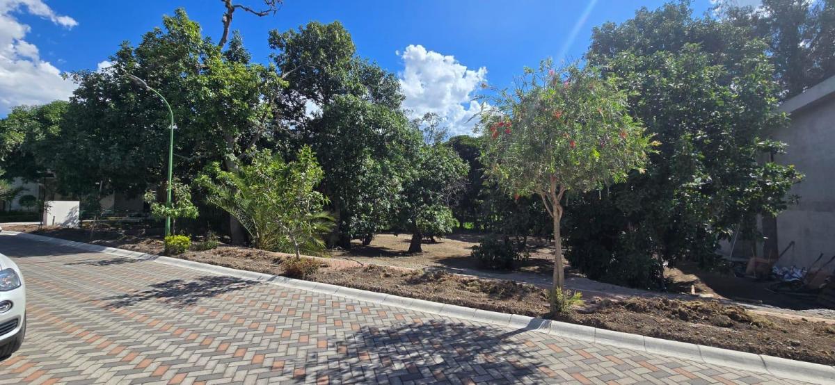 Vendo Lindo Terreno Plano - en Puembo Buen Entorno Cerca a Urbanizaciones — imagen 10