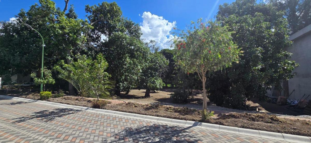 Vendo Lindo Terreno Plano - en Puembo Buen Entorno Cerca a Urbanizaciones — imagen 7