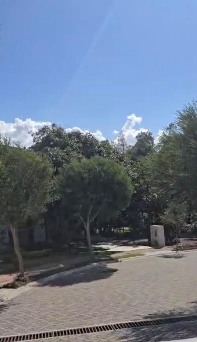 Vendo Lindo Terreno Plano - en Puembo Buen Entorno Cerca a Urbanizaciones — imagen 2