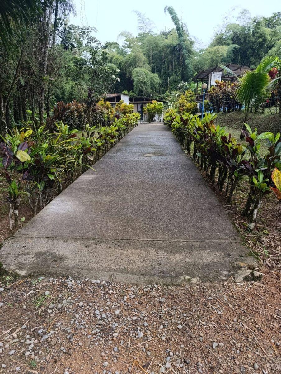 Terreno en Venta en Urb. Pedro Vicente m. 2600 m² — imagen 3