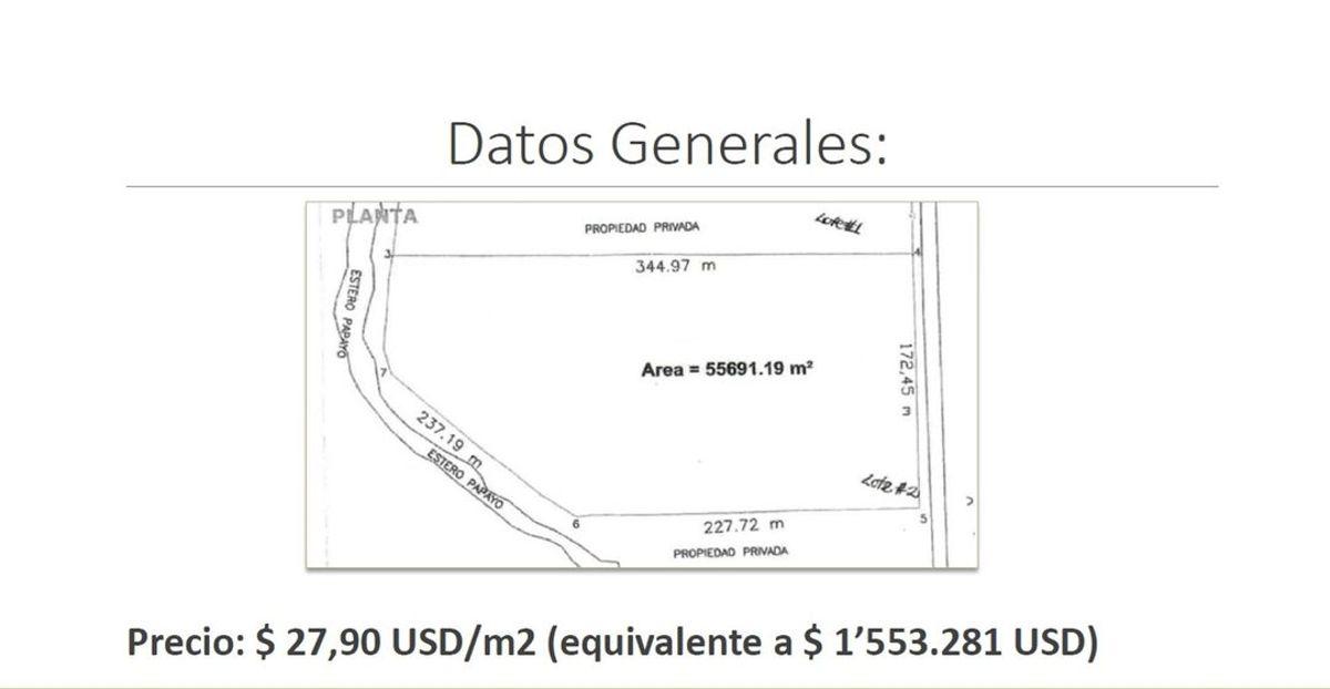 Km 13.5 Via Al Pan Entre Tropicalfruit y Okbanana A. Blum, Guayas — imagen 3