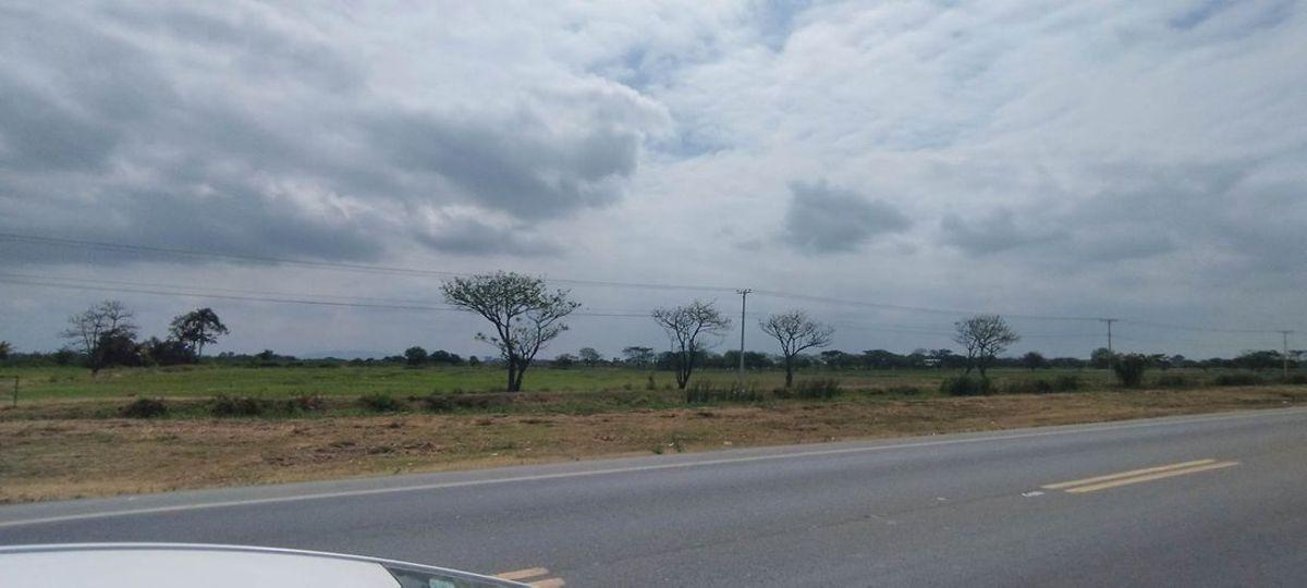 Km 13.5 Via Al Pan Entre Tropicalfruit y Okbanana A. Blum, Guayas — imagen 2