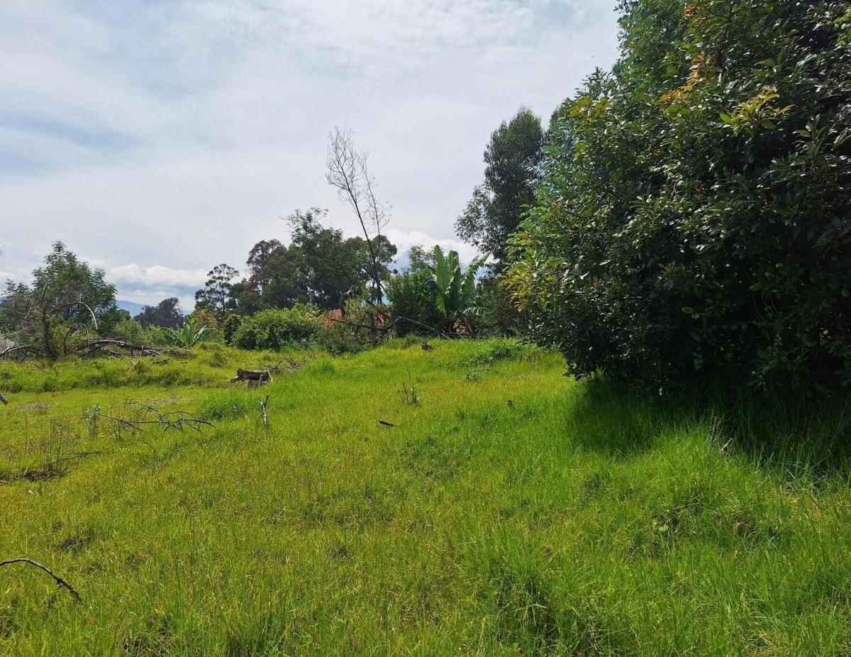 Terreno en Venta — imagen 5