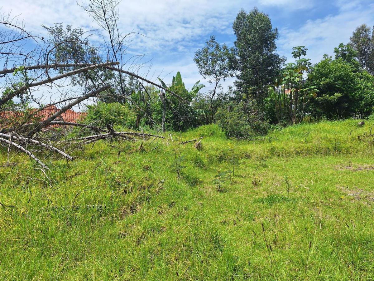 Terreno en Venta — imagen 4