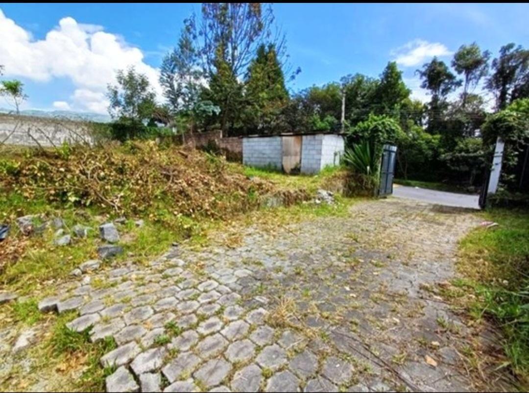 Terreno en Venta — imagen 3