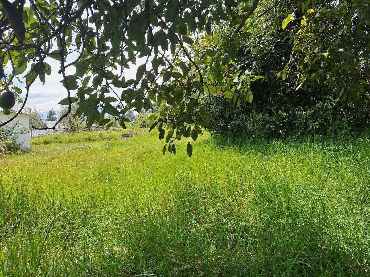 Terreno en Venta — imagen 2