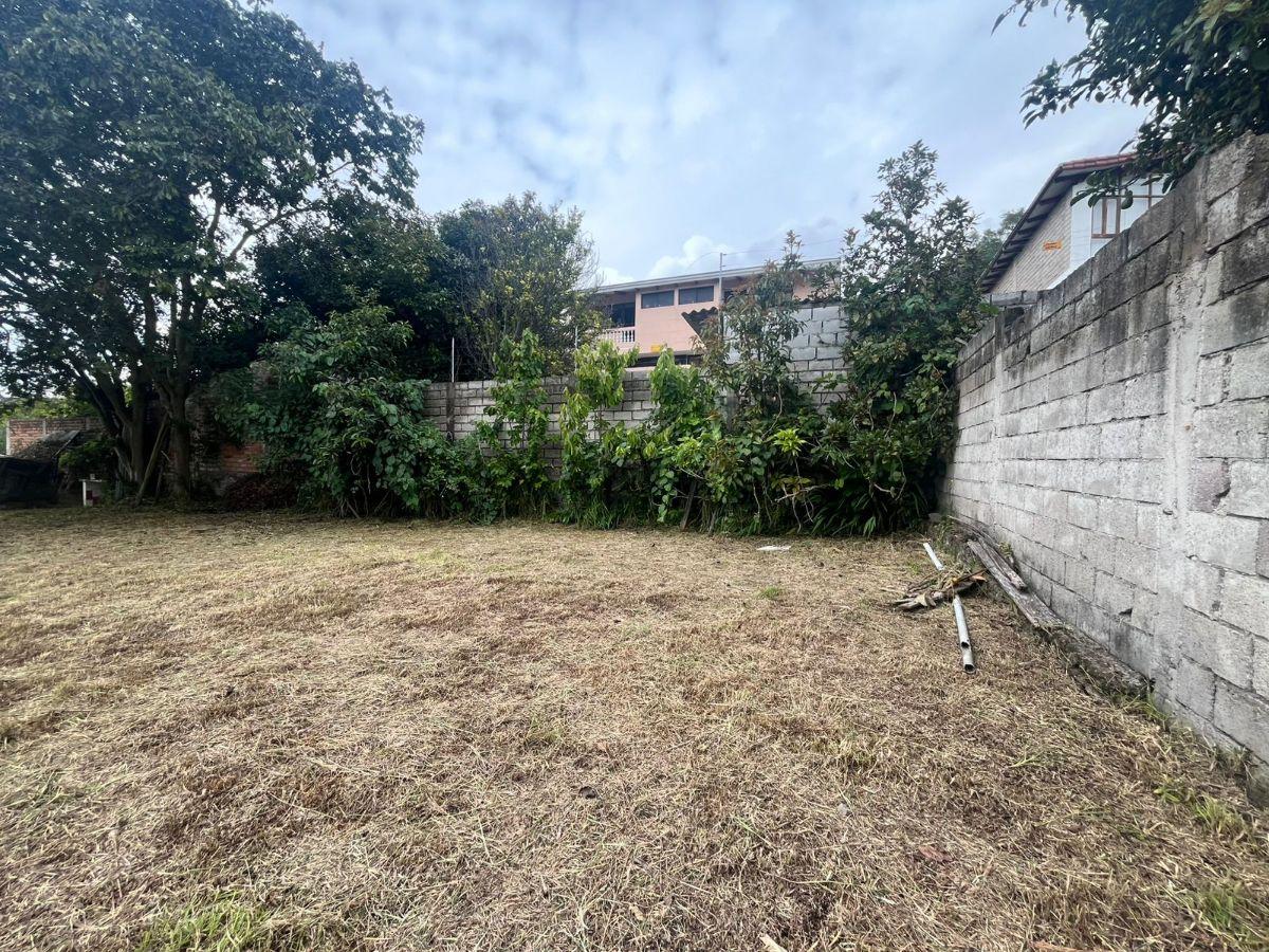 Terreno 480 m², Sector La Armenia, Los Arupos — imagen 6