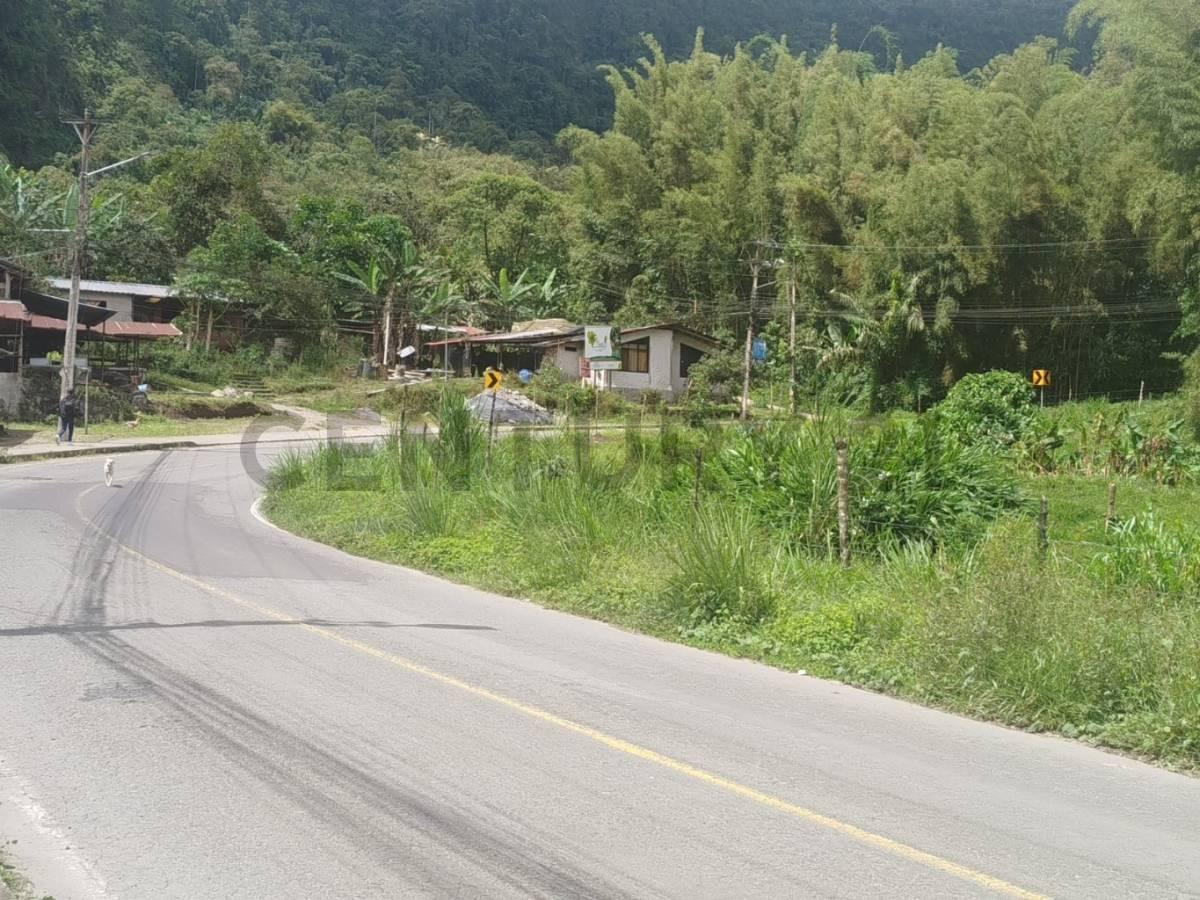 Se Vende Lotes de Terreno Sobre Via Principal Mindo — imagen 8