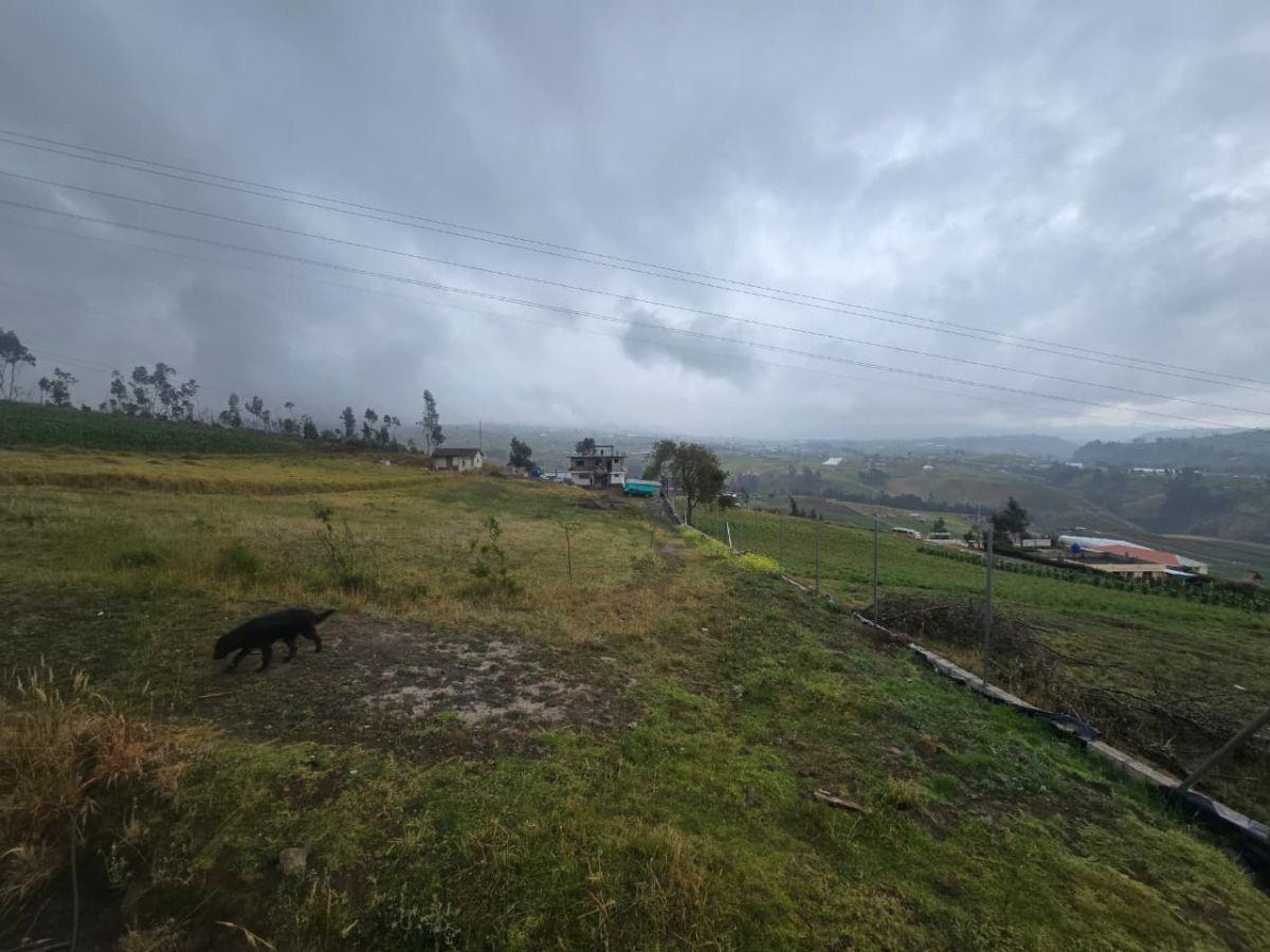 Lote de Terreno en Illimpucho, Cotopaxi — imagen 6