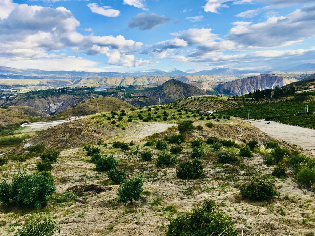Jal. Venta Terreno Cerca a Guayllabamba 10.000 m² 120 Árboles de Aguacate — imagen 10