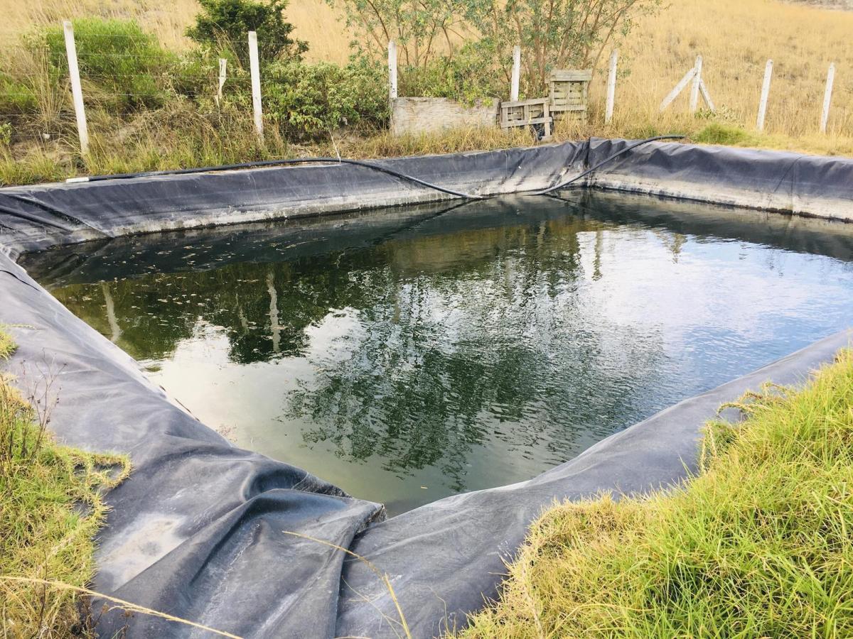 Jal. Venta Terreno Cerca a Guayllabamba 10.000 m² 120 Árboles de Aguacate — imagen 9