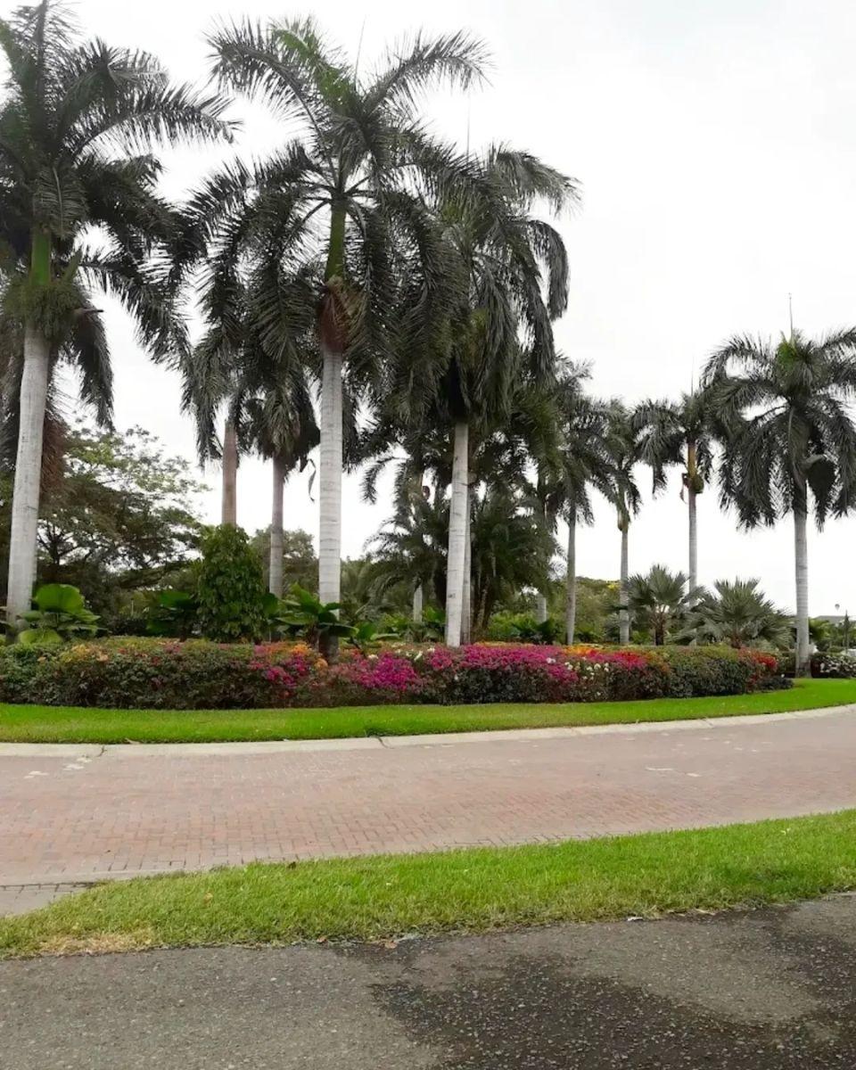 Terreno de 750 m² en Venta en Exclusiva Urbanizacion de Samborondón, La Ribera del Batán, Guayas — imagen 7
