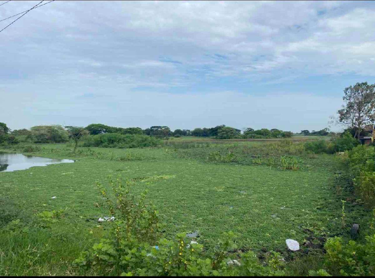 Venta Terreno 350.000 m², Via a Los Lojas, Se Ingresa Desde Vía a Salitre Km 12, por Vía Asfaltada, Guayas — imagen 6