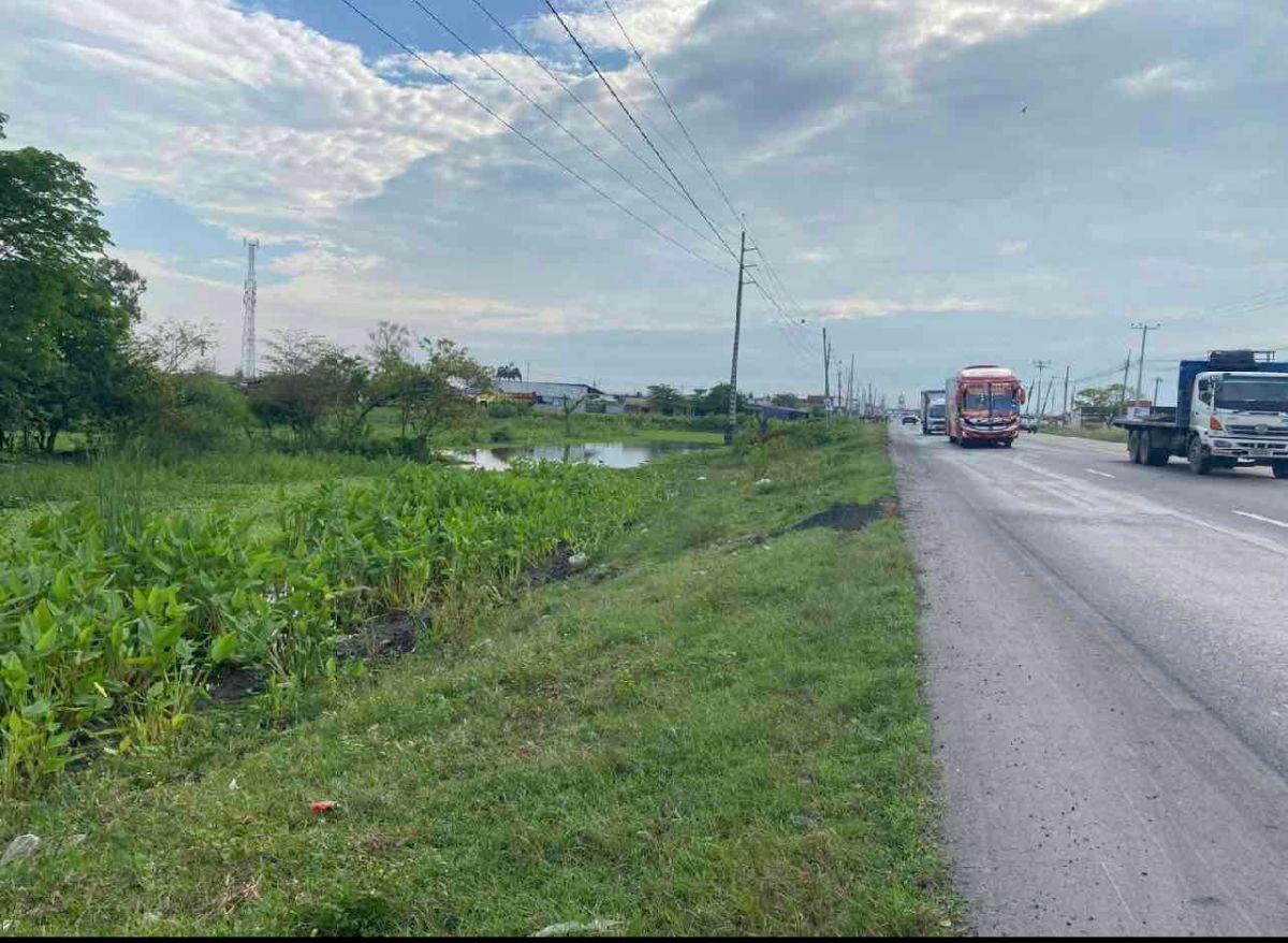 Venta Terreno 350.000 m², Via a Los Lojas, Se Ingresa Desde Vía a Salitre Km 12, por Vía Asfaltada, Guayas — imagen 2