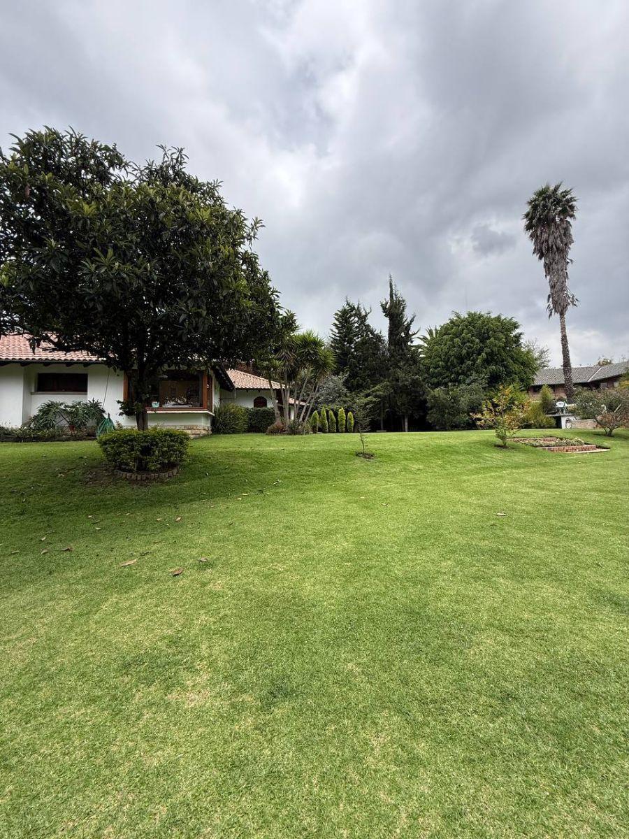 Terreno - en Venta - Tumbaco - 626 m² — imagen 9