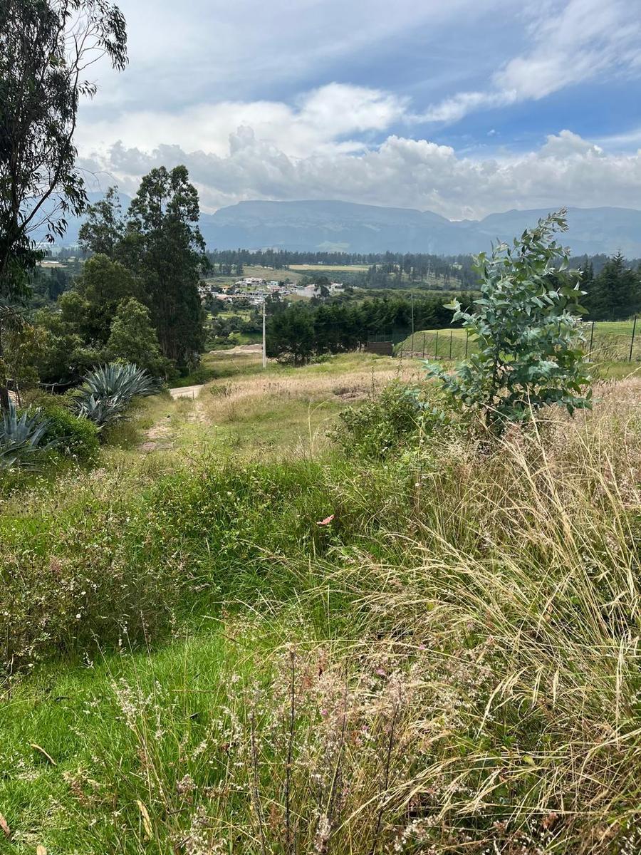 Terrenos de Venta en Tumbaco, Via La Merced — imagen 8
