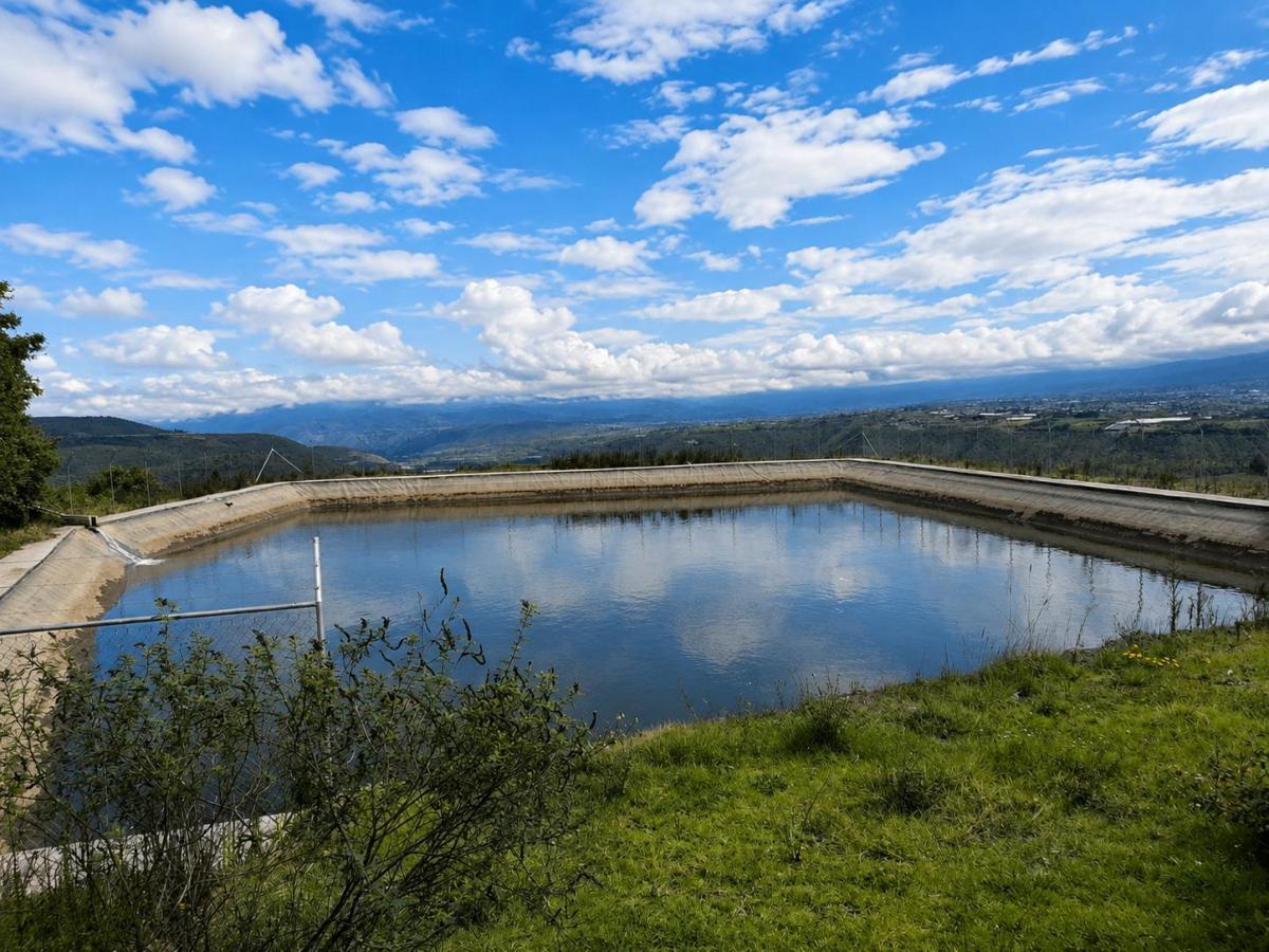 Hacienda Agrícola en Venta | 65 Hectáreas – Imbabura, Imbabura — imagen 5