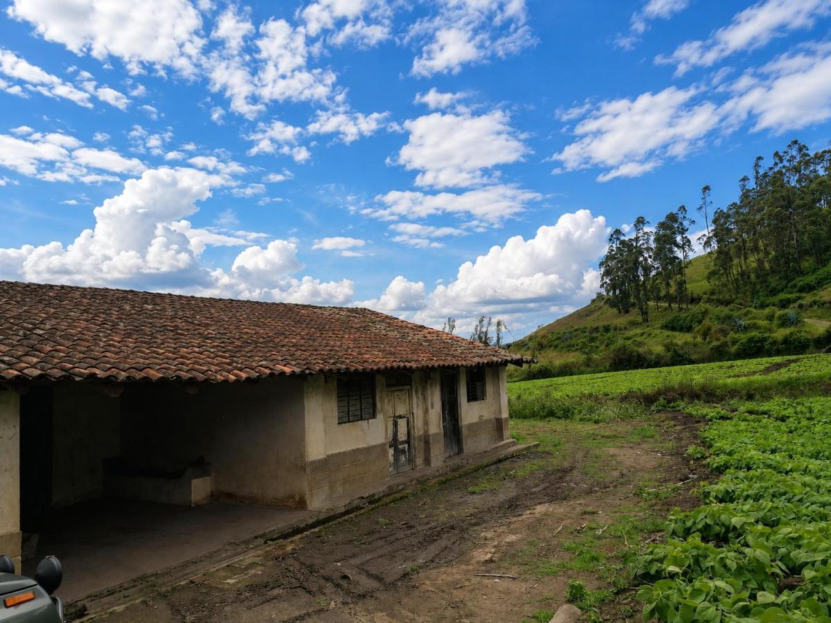 Hacienda Agrícola en Venta | 65 Hectáreas – Imbabura, Imbabura — imagen 3