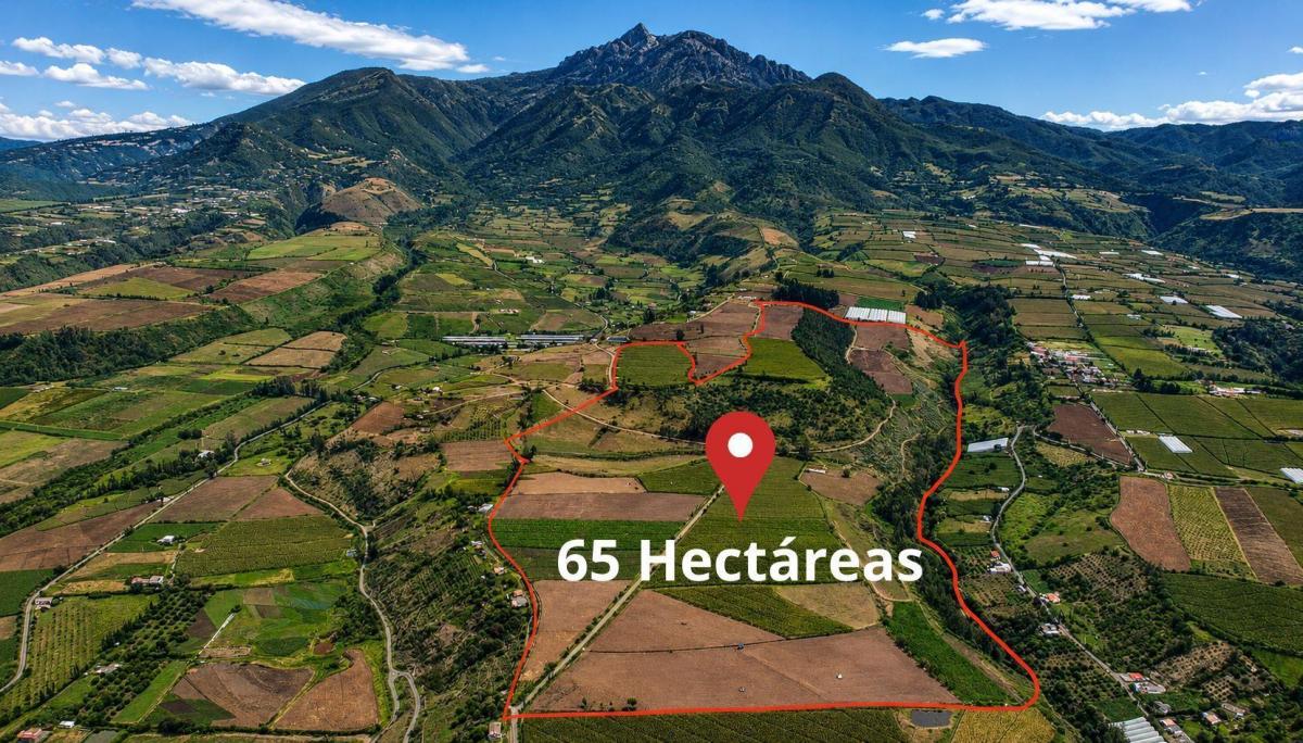 Hacienda Agrícola en Venta | 65 Hectáreas – Imbabura, Imbabura — imagen 2