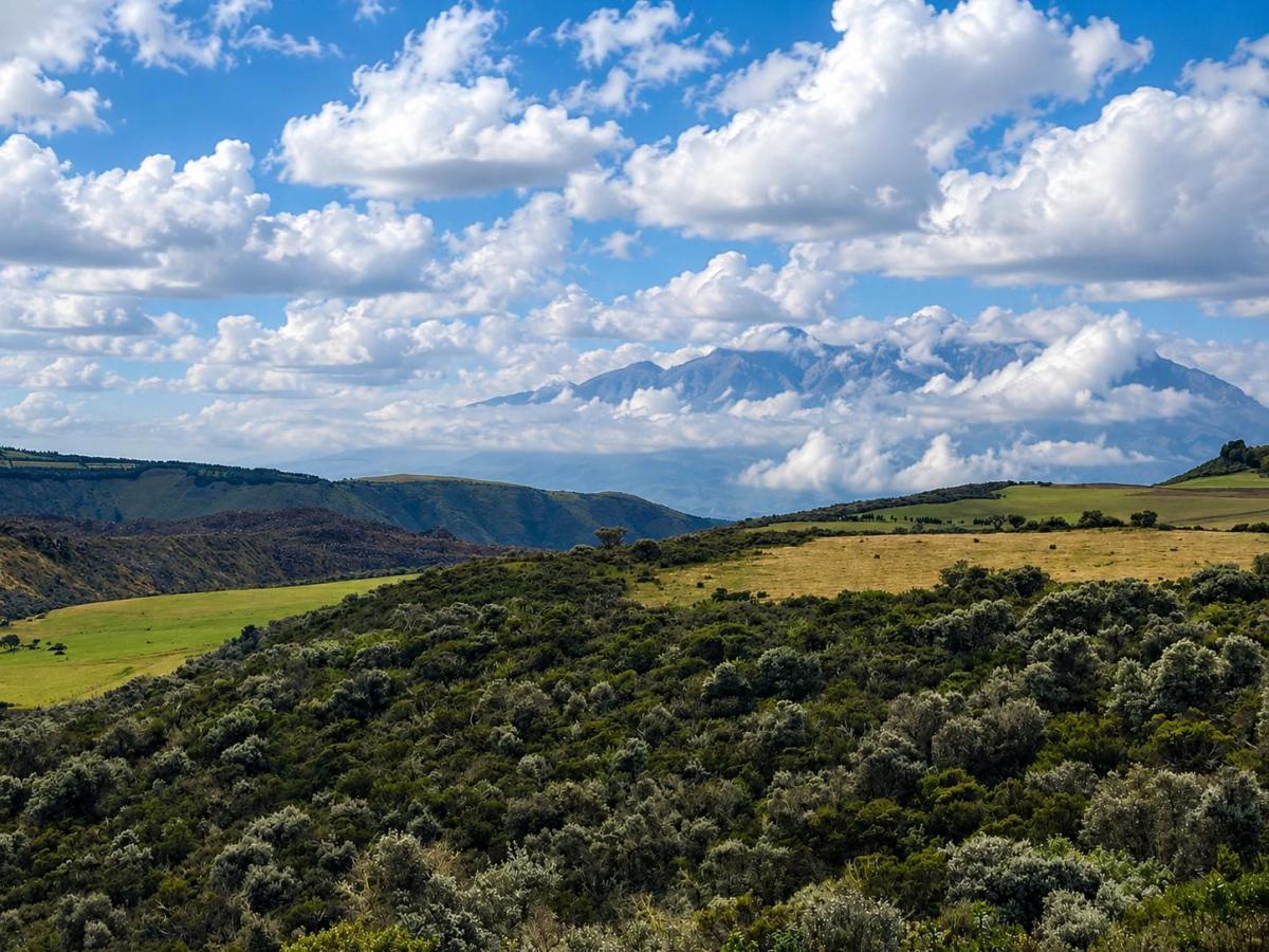 Hacienda Ganadera y Agrícola en Venta | 1000 Hectáreas, Pichincha — imagen 4